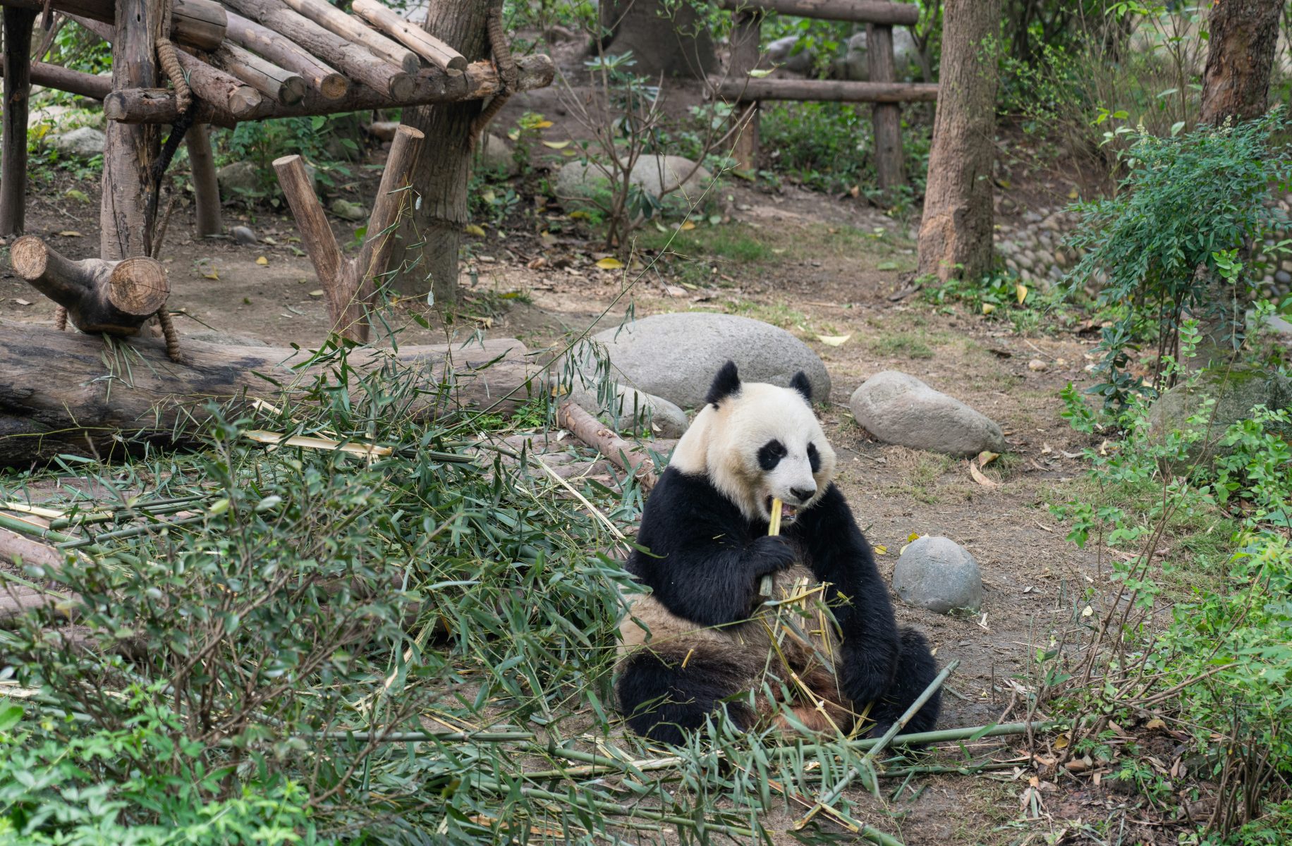 Mystical China - KungFu Pandas & Scenic Wonders 12Days/11-Nights